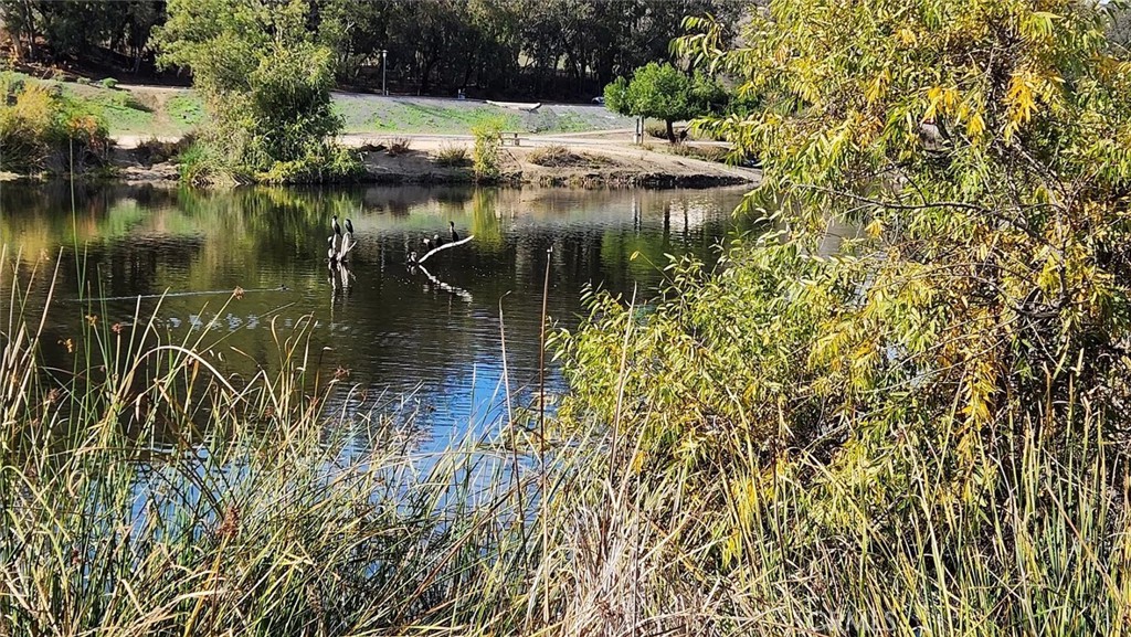 Village Niguel Vistas I (VNV) - Residential Lease