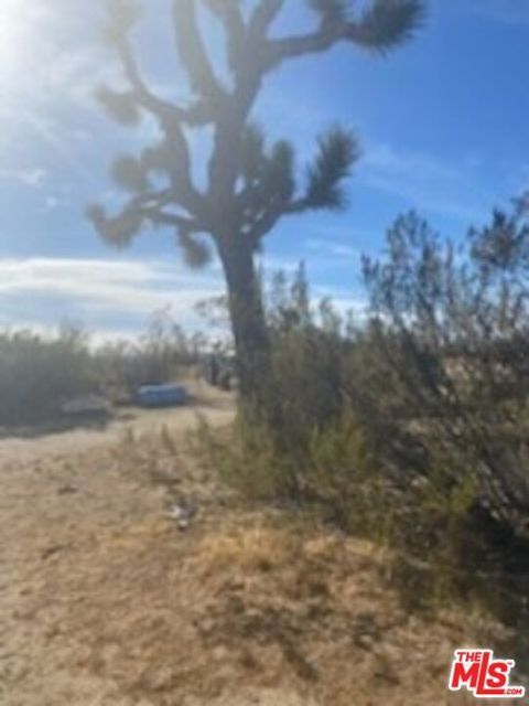 Photo of 6000 W 140th Street West, Rosamond, CA 93560 (MLS # 25580911)