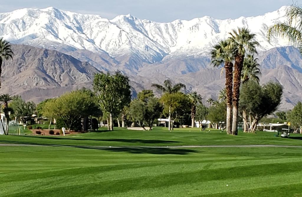 Palm Desert Greens - Manufactured In Park
