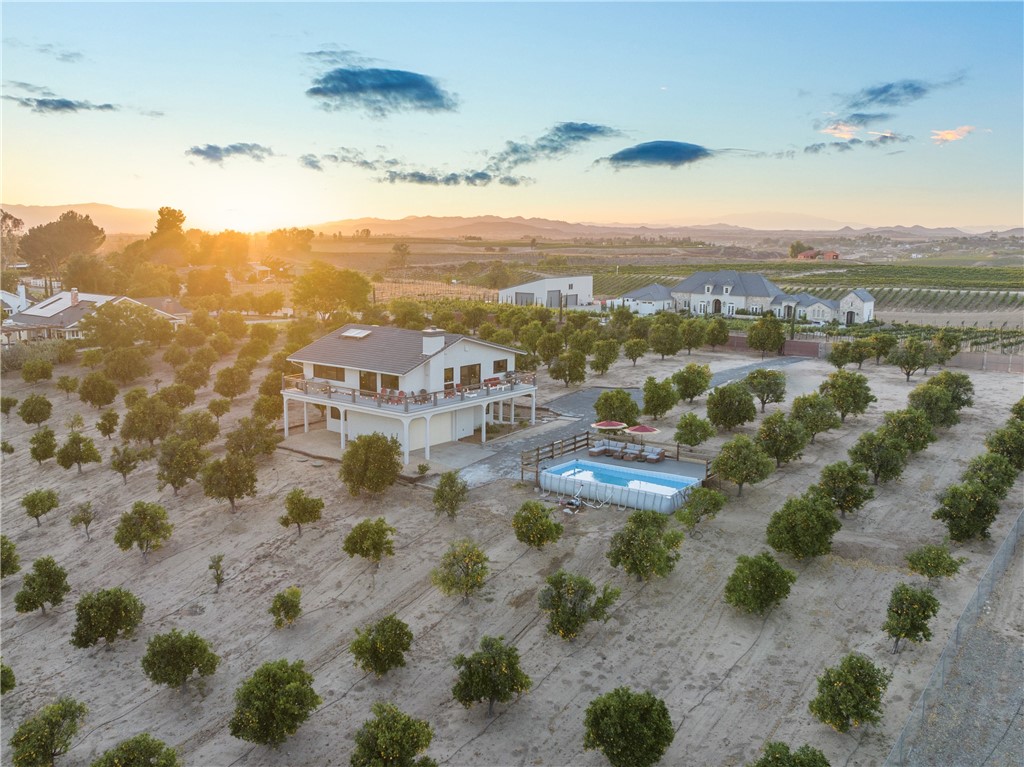 33851 Madera De Playa