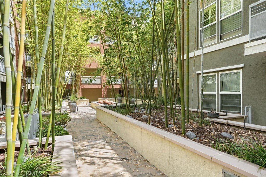 12688 Chapman 3109