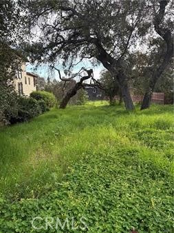 0 Mariposa Avenue