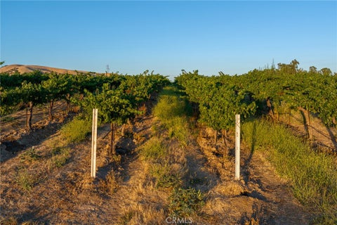 Tiny photo for 8585 Cross Canyons RD, San Miguel, CA 93451 (MLS # NS26119846)
