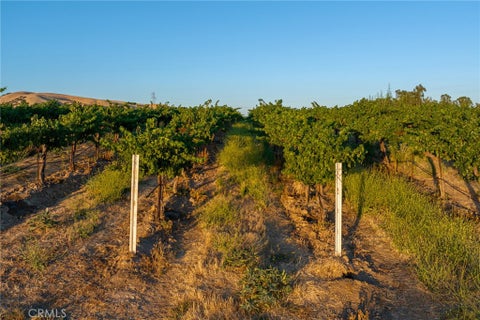 Tiny photo for 8585 Cross Canyons RD, San Miguel, CA 93451 (MLS # NS26119846)