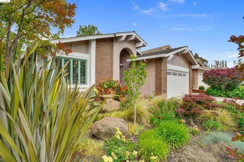 Photo of 5001 Saint Garrett Ct Ct, Concord, CA 94521 (MLS # 41133116)