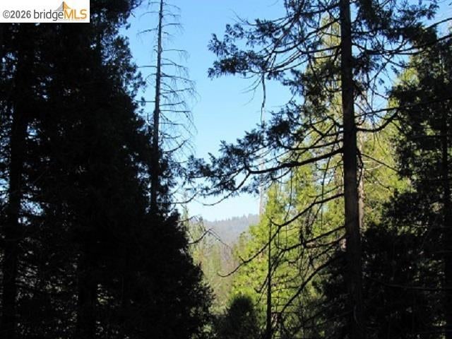 0000 Star Ridge Rd.