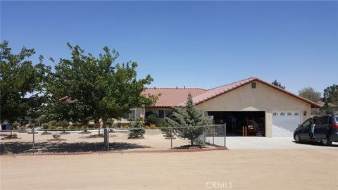 6320 Winter Park Drive Phelan CA 92371