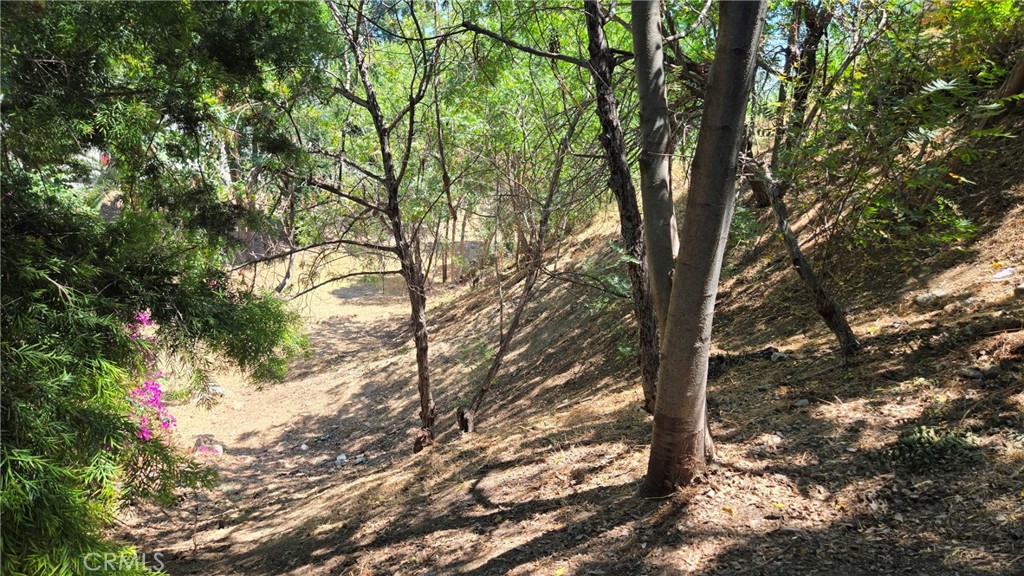 Build your dream home :) on this 7,493 sq ft Lot. Don’t miss this incredible chance to own land in one of LA’s most desirable and connected neighborhoods. Peaceful hillside setting with natural surroundings and hill views. Preliminary Designs, Geology and Soil, Geotech Report, Grading and Drainage plan and Hydrology Analysis have been done and can be provided. Plans include to construct an new 3,426 sq ft, 4 Bedroom - 4 Baths, 2 car garage home.