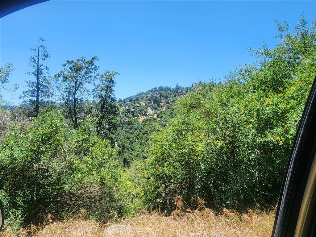 Arrowhead Woods (AWHW) - Land