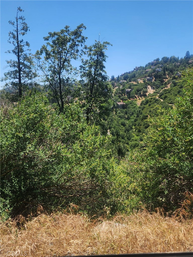 Arrowhead Woods (AWHW) - Land