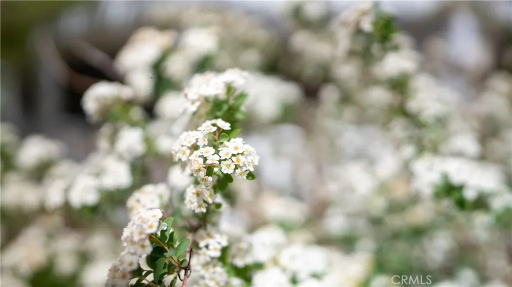 Pinon Hills, California 92372, United States, 4 Bedrooms Bedrooms, ,2 BathroomsBathrooms,Residential,Active,205787