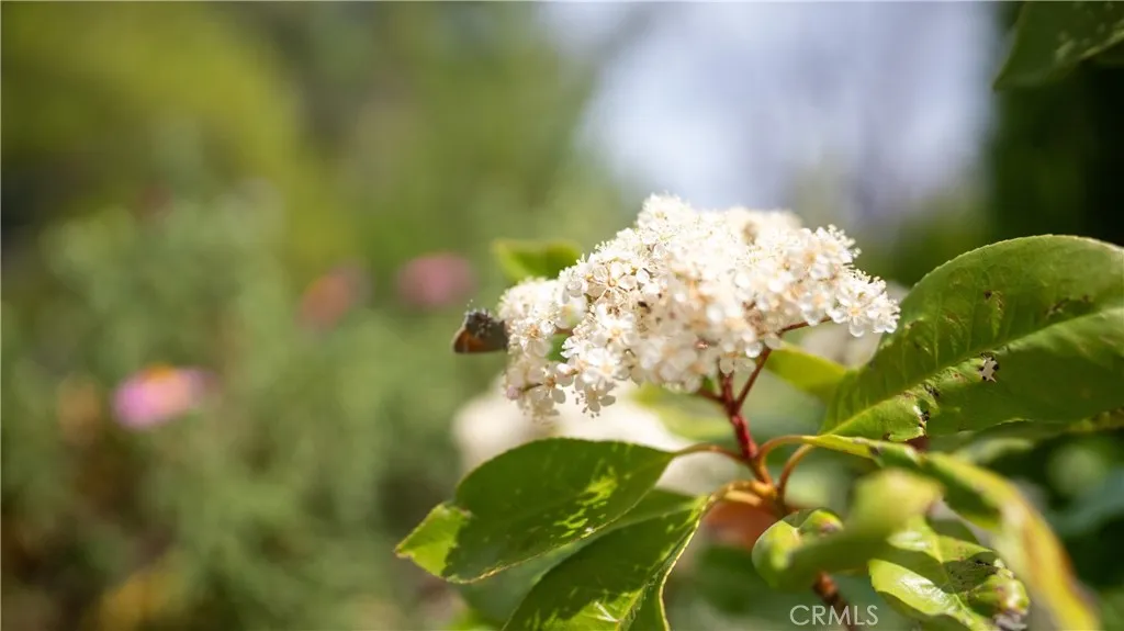 Pinon Hills, California 92372, United States, 4 Bedrooms Bedrooms, ,2 BathroomsBathrooms,Residential,Active,205787