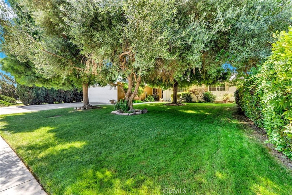 704 Westwood Drive
