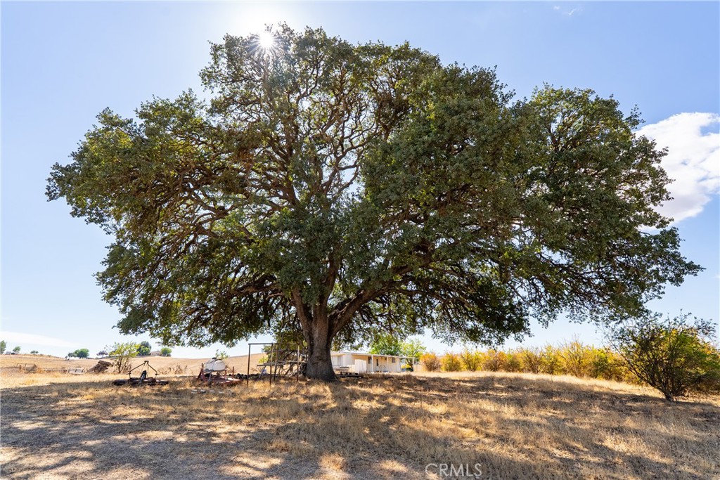 PR Rural West(250) - Land