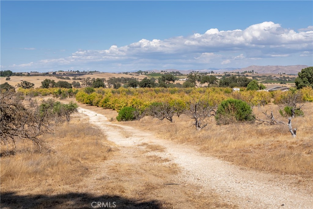 PR Rural West(250) - Land