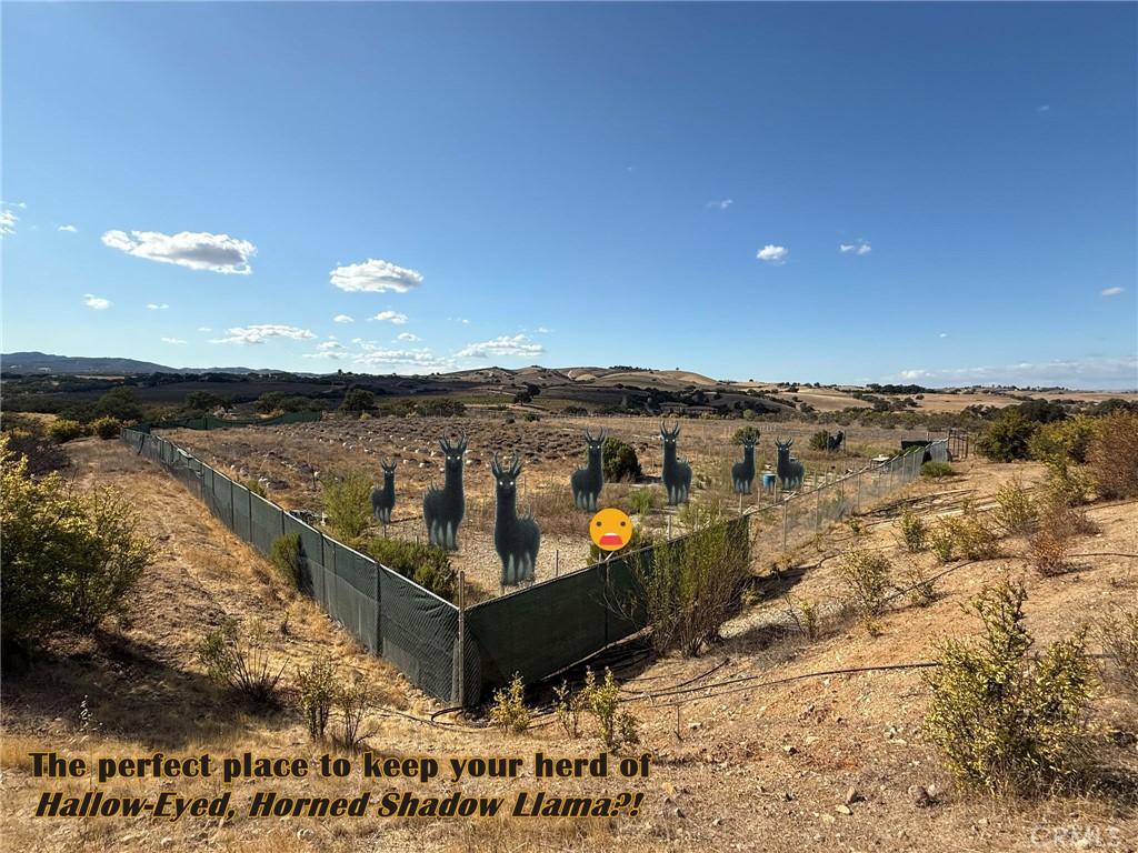 PR Rural West(250) - Land