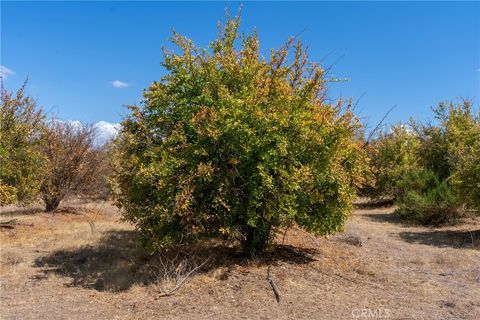 Tiny photo for 27 Wellsona Road, Paso Robles, CA 93446 (MLS # NS25221680)