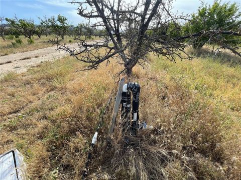 Tiny photo for 27 Wellsona Road, Paso Robles, CA 93446 (MLS # NS25221680)