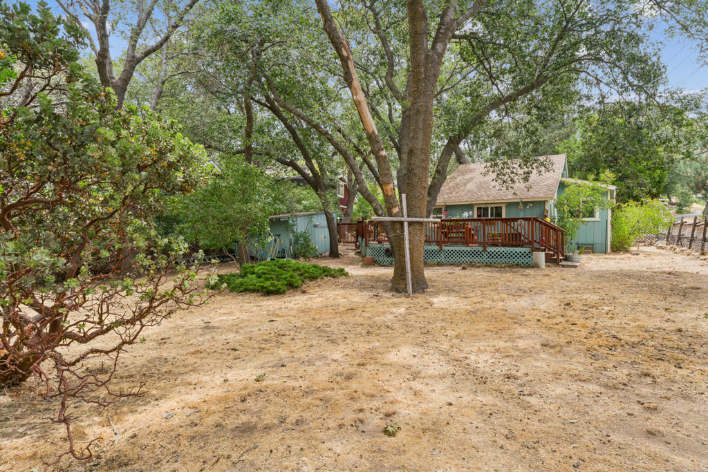 1557 Edge Cliff