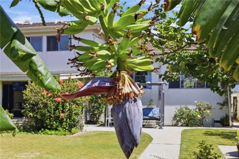 Tiny photo for 630 Janetwood DR, Oxnard, CA 93030 (MLS # SR26165608)