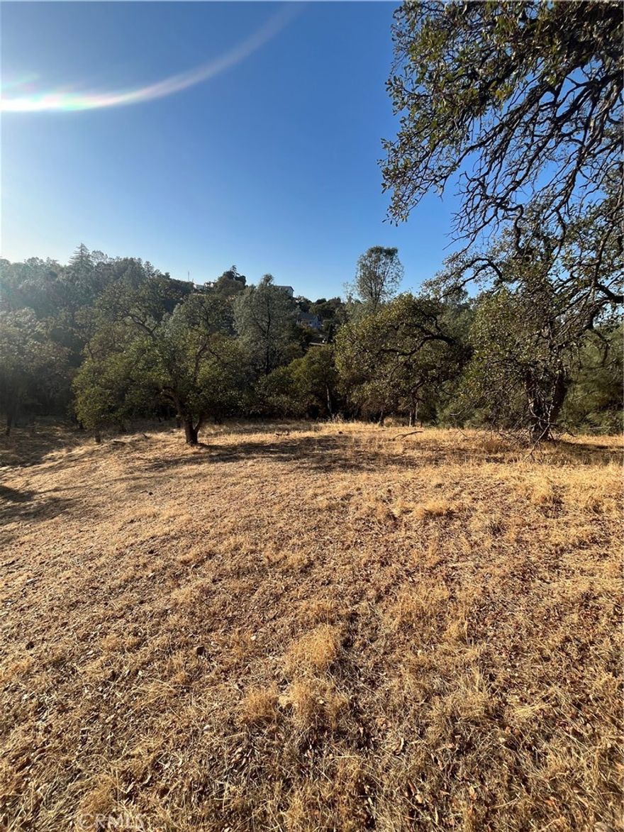 Build your dream home on this spacious lot located in a quiet neighborhood just minutes from town. Enjoy nearby recreational opportunities including boating, fishing, and swimming at Lake Oroville, plus scenic hiking and biking trails. Plenty of room for a home, garden, fruit trees, or even a pool—ideal for enjoying California summers. Utilities available at the street. Buyer to verify all information to their satisfaction.