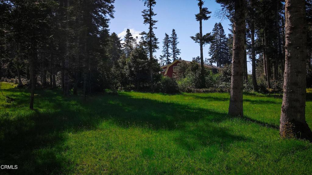 26555 Highway 1