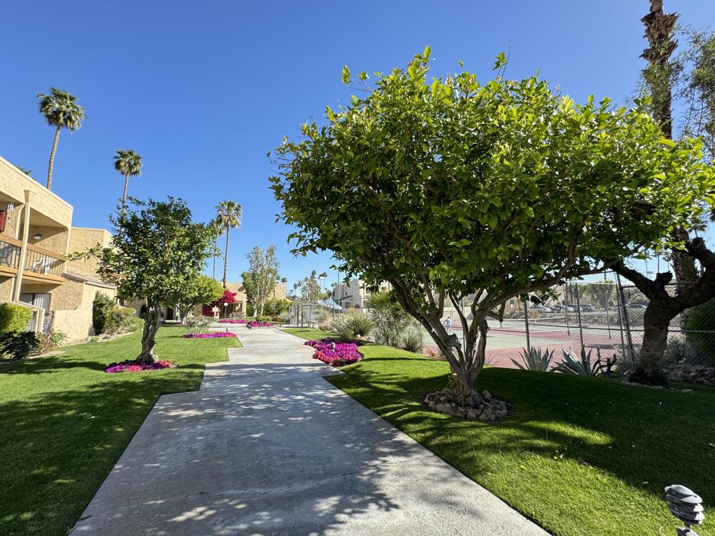 Palm Springs Golf & - Residential
