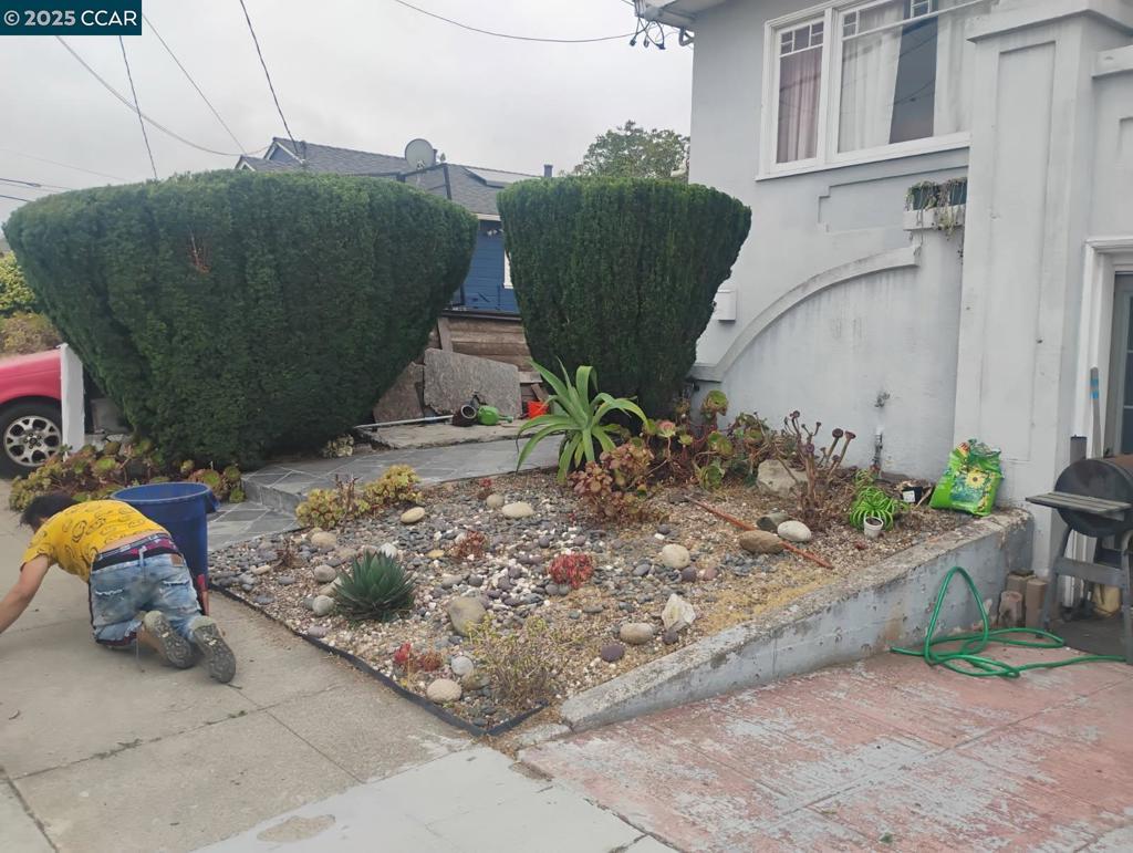 BERKELEY BORDER - Residential