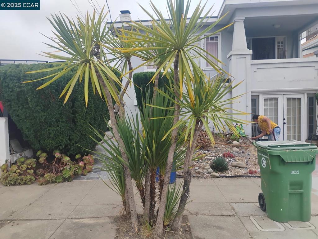 BERKELEY BORDER - Residential