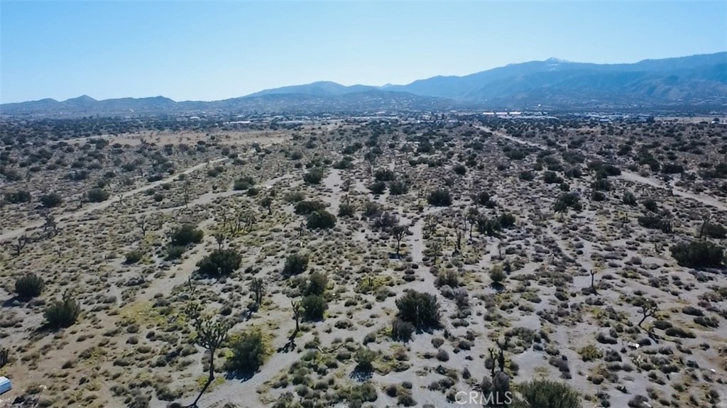 0 Joshua Tree