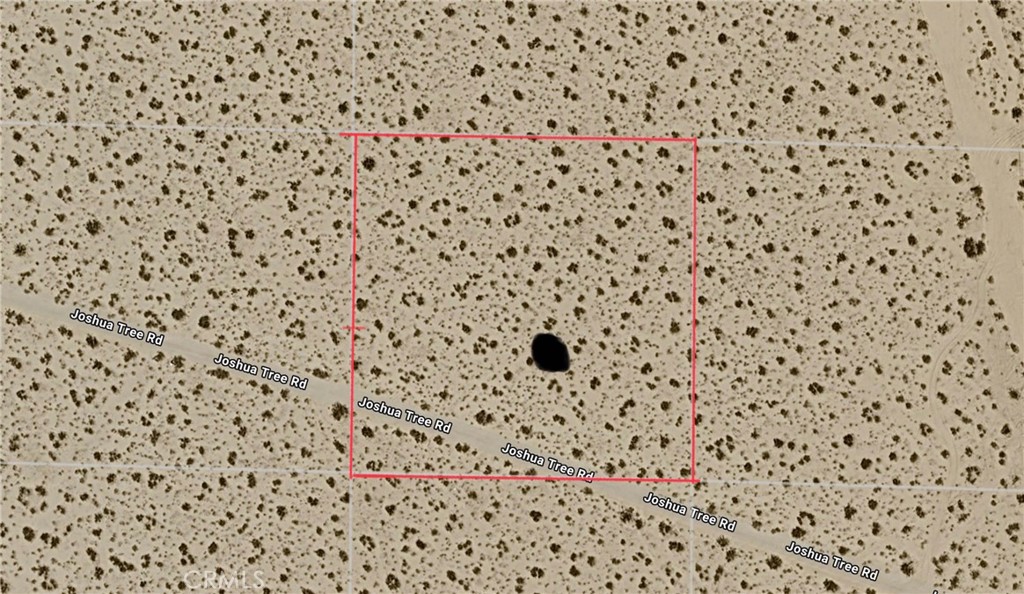0 Joshua Tree