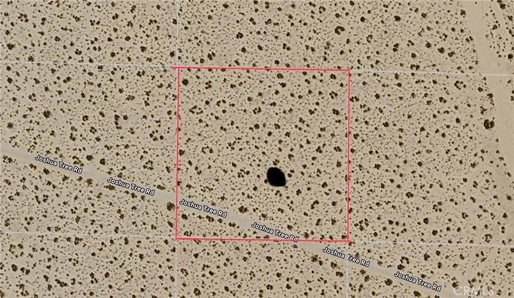 0 Joshua Tree
