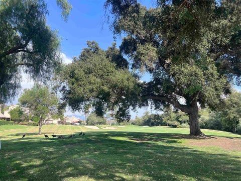 Photo of 23621 Country Villa Rd RD, Ramona, CA 92065 (MLS # 260021172SD)