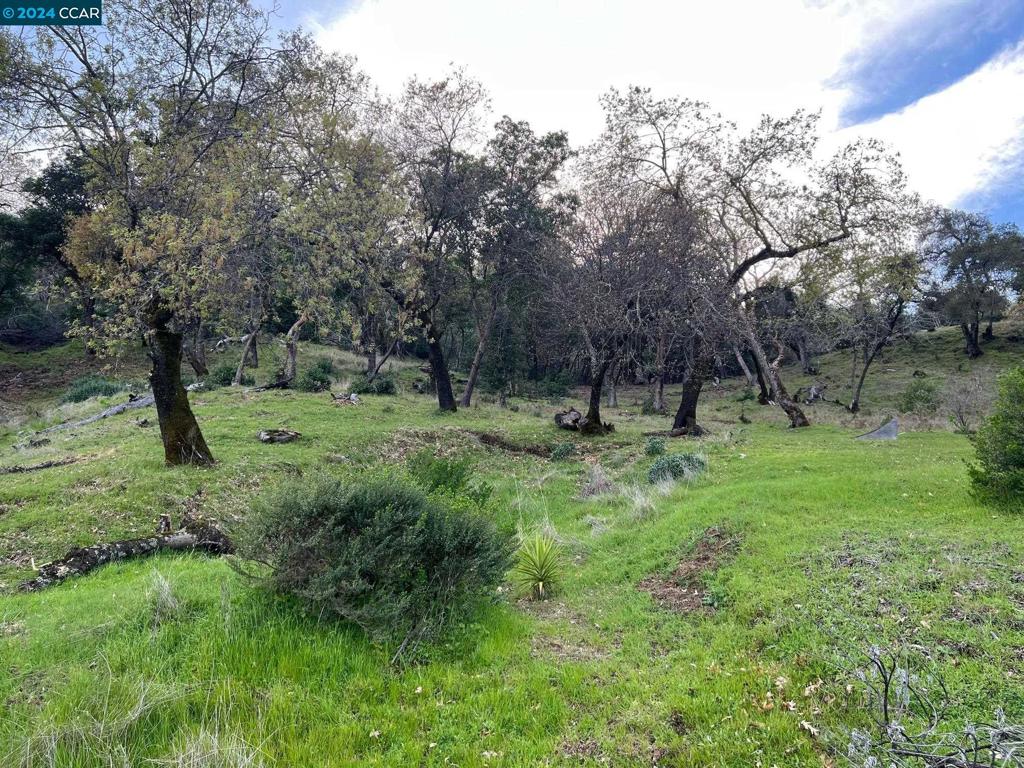 228 Country Club Lane