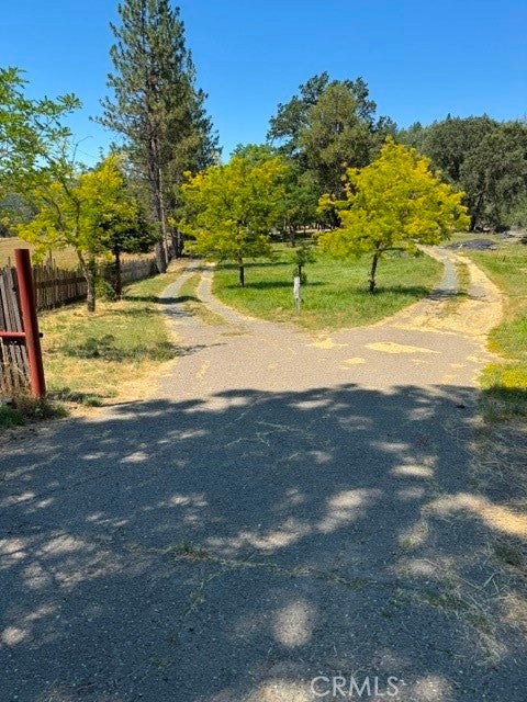 12955 Bottle Rock