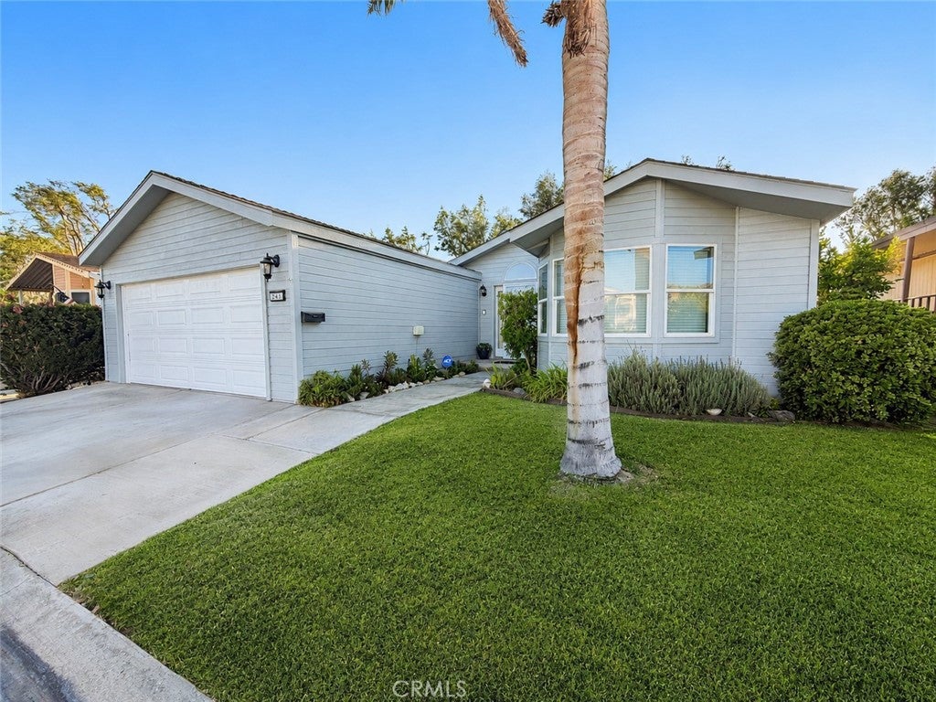 15300 Palm