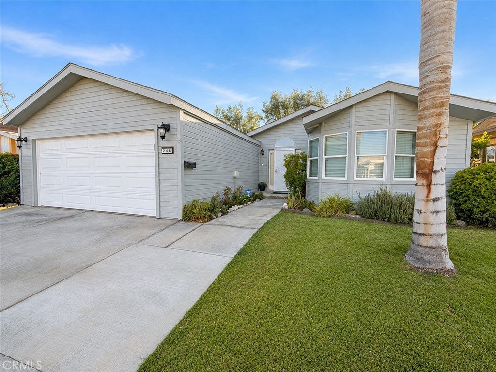 15300 Palm