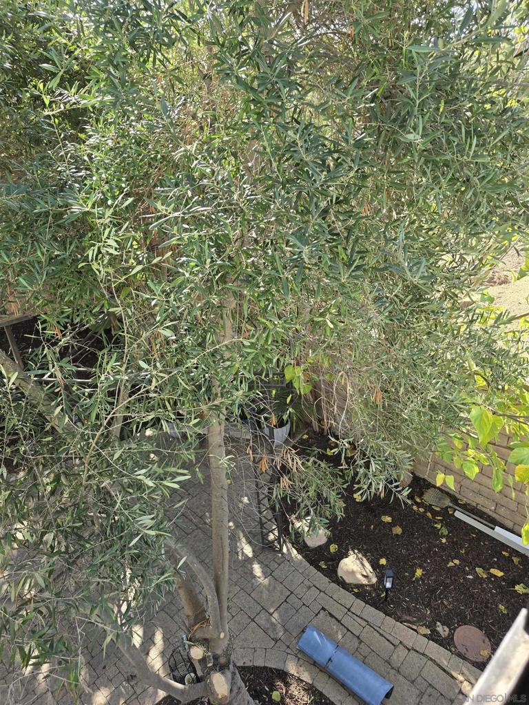 La Mesa - Residential