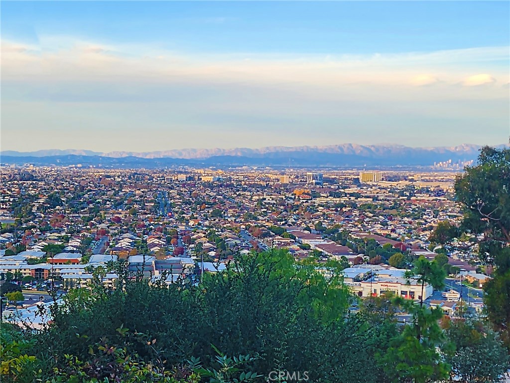 4233 Paseo De Las Tortugas