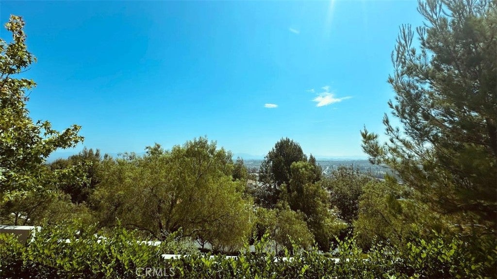 41 La Mirage, Aliso Viejo CA 92656 - Photo 27