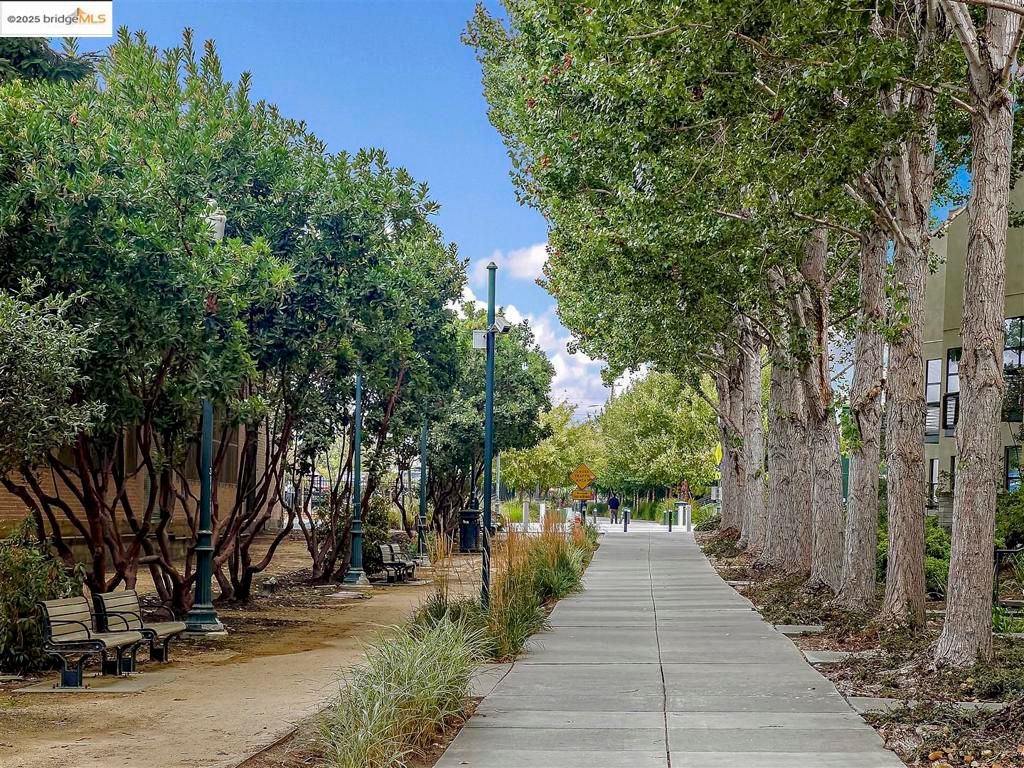 listing image 130728856656100614589