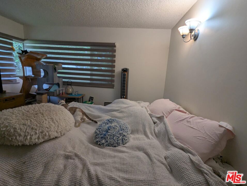 8217 Billowvista Drive