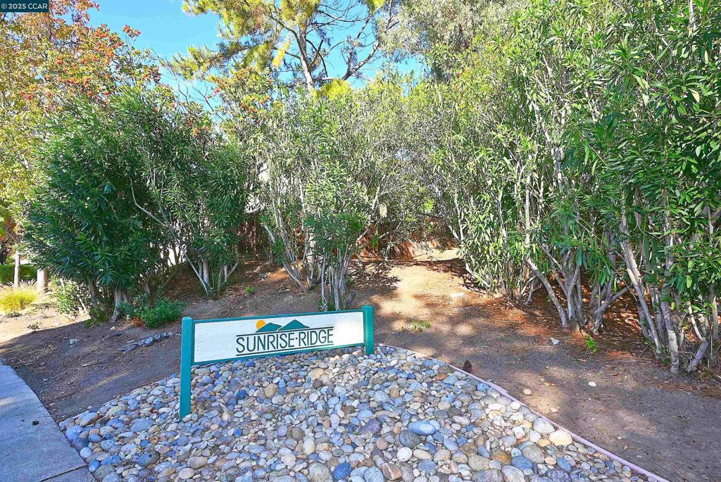 SUNRISE RIDGE - Residential