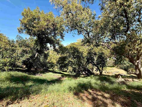 Photo of 3160 Slivkoff Drive, Escondido, CA 92027 (MLS # NDP2507536)