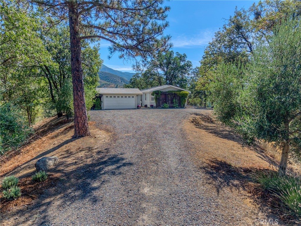 12431 Elk Mountain