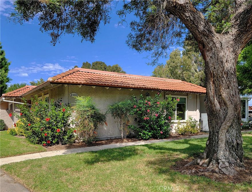 Rare 3 bedroom remodeled Hermosa Condo for lease in the 55+ community of Laguna Woods.  This 3 bedroom 2 bath single level open floor plan featuring wide plank wood-like laminate floors, fresh paint in neutral colors, open kitchen with stainless steel appliances, smooth ceilings, recessed lighting, ceiling fans, and many other upgrades.  The home has central heat and air for perfect climate control and the bathrooms has been completely remodeled with custom tilework and unique vanities.  The guest bathroom has a tub  and the main bedroom suite has a walk in shower.  The home in a great location with plenty of parking for guests and one assigned carport with storage.  A new refrigerator and side by side laundry set are in the process of being purchased for this unit and are included in the rental.  The home was remodeled within the last year and is waiting for its first tenants.