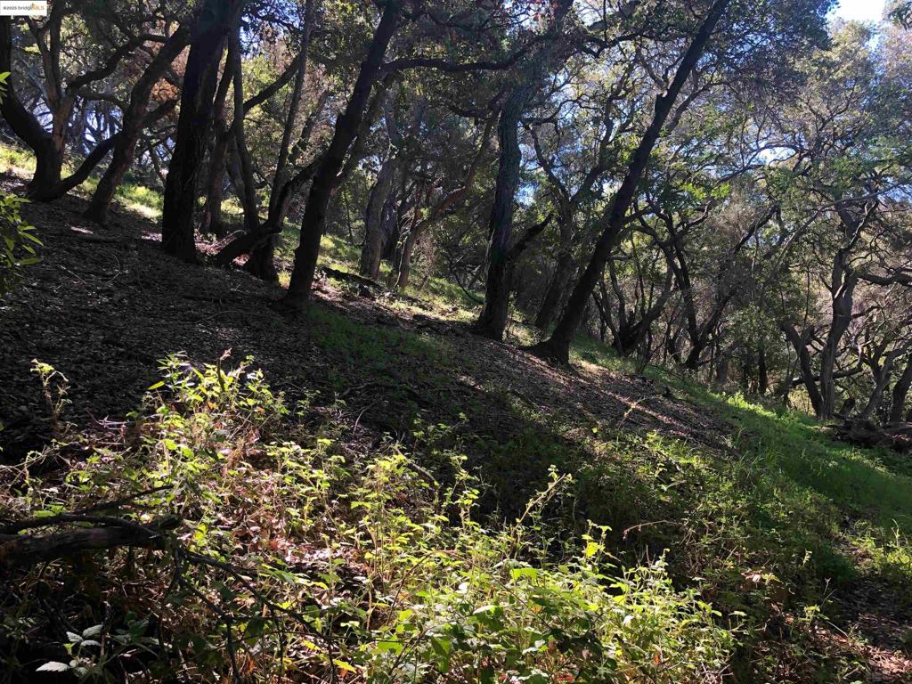 OAKLAND HILLS - Land