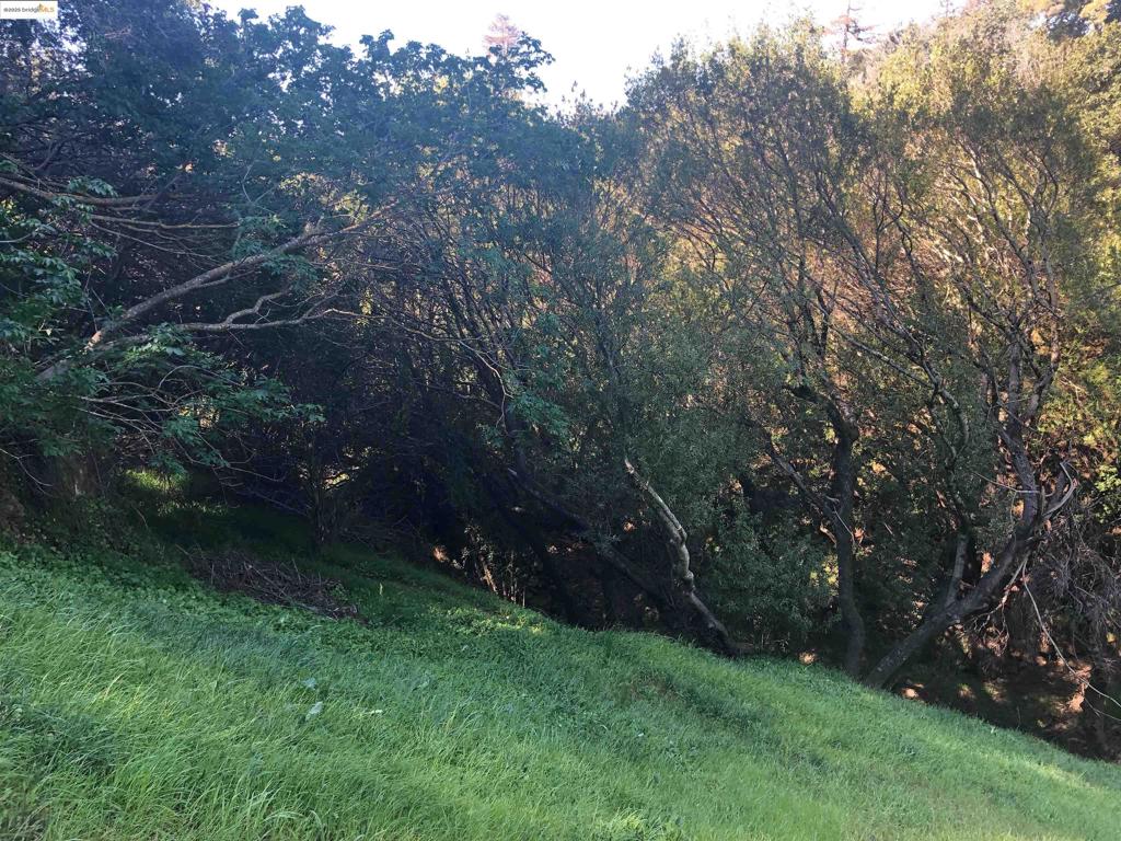OAKLAND HILLS - Land