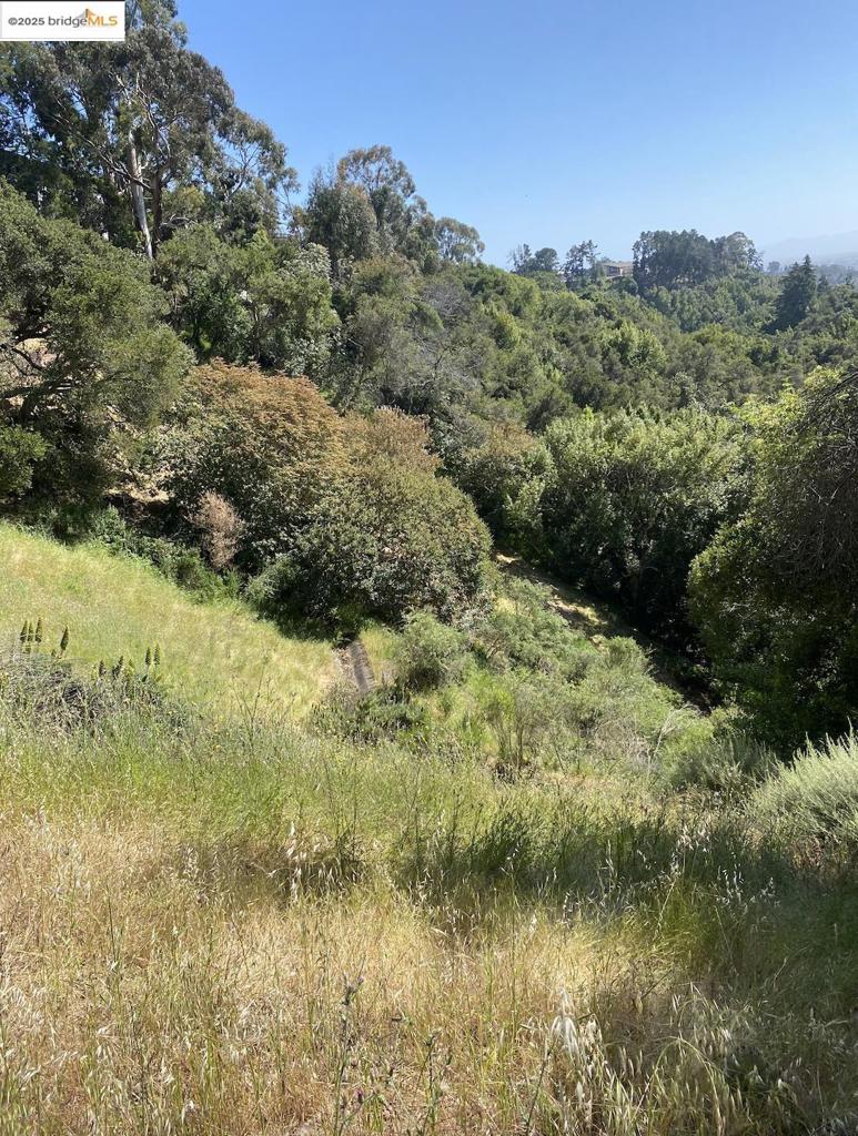OAKLAND HILLS - Land