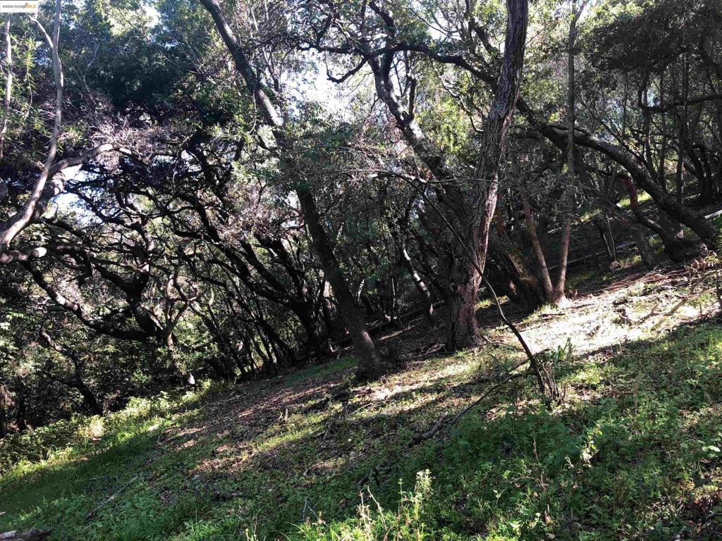 OAKLAND HILLS - Land